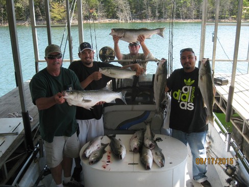 Nice Striped Bass